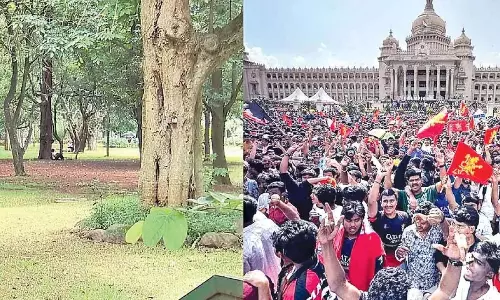 Cubbon Park एसोसिएशन ने हर्जाने के लिए हाईकोर्ट का रुख किया