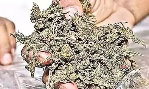 Mangaluru में मादक पदार्थ तस्करी के खिलाफ कार्रवाई में 7 गिरफ्तार Mangaluru में मादक पदार्थ तस्करी के खिलाफ कार्रवाई में 7 गिरफ्तार