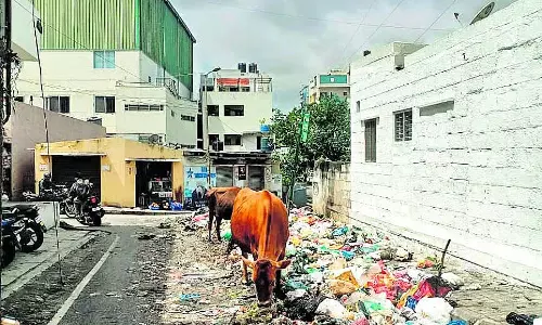 Bangalore : कचड़े से पटी कनकनगर सड़क Bangalore : कचड़े से पटी कनकनगर सड़क