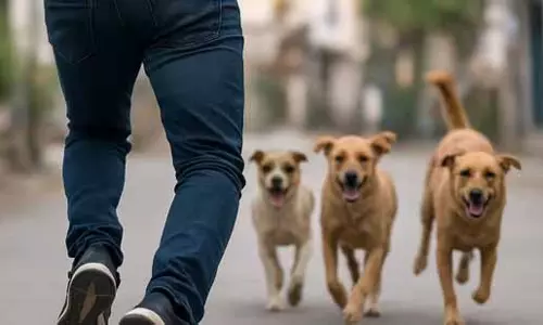 बेंगलुरु में इंजीनियर की मुसीबत, कुत्तों से बचा तो लोगों ने चोर कहा