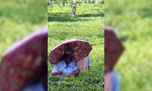 Bengal: डुआर्स बागानों में बोनस गतिरोध, चाय बागान मालिकों ने अहम बैठक से पहले उठाए मुद्दे Bengal: डुआर्स बागानों में बोनस गतिरोध, चाय बागान मालिकों ने अहम बैठक से पहले उठाए मुद्दे