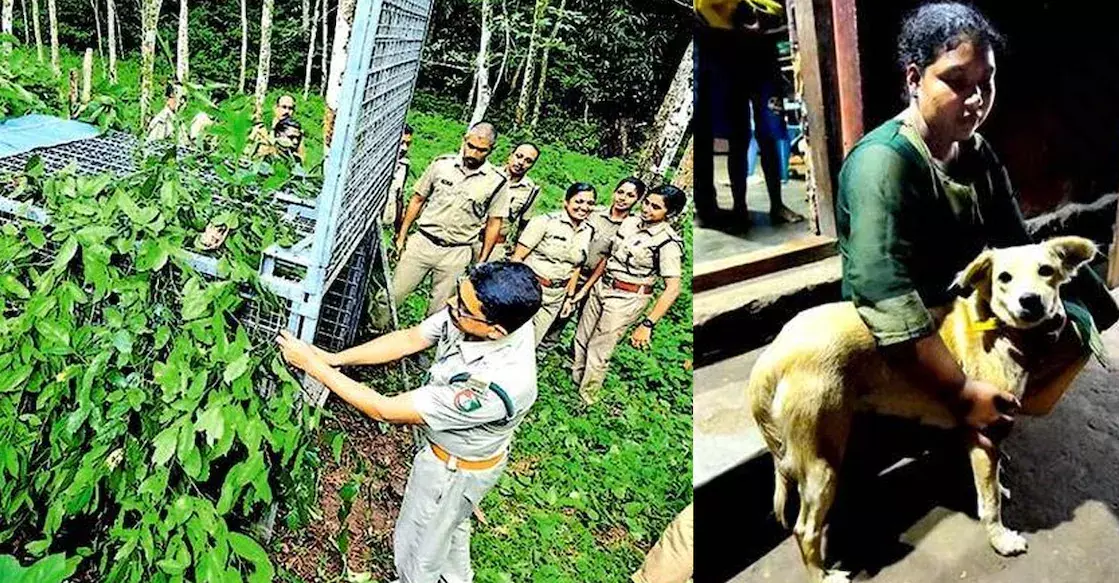 एक कुत्ते ने एक बच्चे और एक मायावी तेंदुए को बचाया Kerala के एक गाँव की कहानी