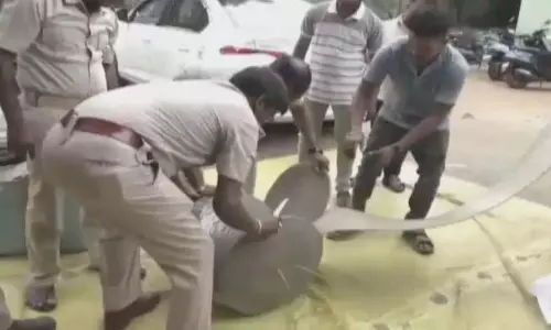 बोलनगीर में पुष्पा स्टाइल गांजा तस्करी का भंडाफोड़, तस्कर गिरफ्तार