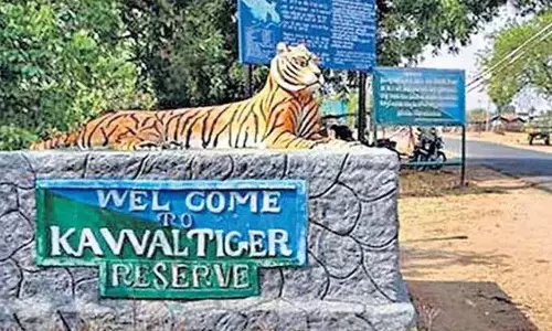 कवाल में भारी वाहनों की आवाजाही की अनुमति