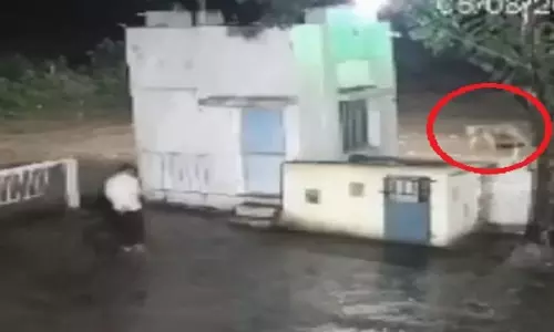 Gujarat: फैक्ट्री के बाहर अचानक शेर और शख्स की भिड़ंत, वीडियो वायरल
