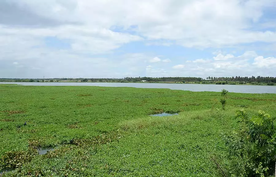 Davanagere : जलाशय पर्यटकों को आकर्षित कर रहे हैं Davanagere : जलाशय पर्यटकों को आकर्षित कर रहे हैं