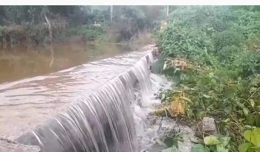 Doddaballapura : भारी वर्षा से कृषि गतिविधियाँ बाधित Doddaballapura : भारी वर्षा से कृषि गतिविधियाँ बाधित