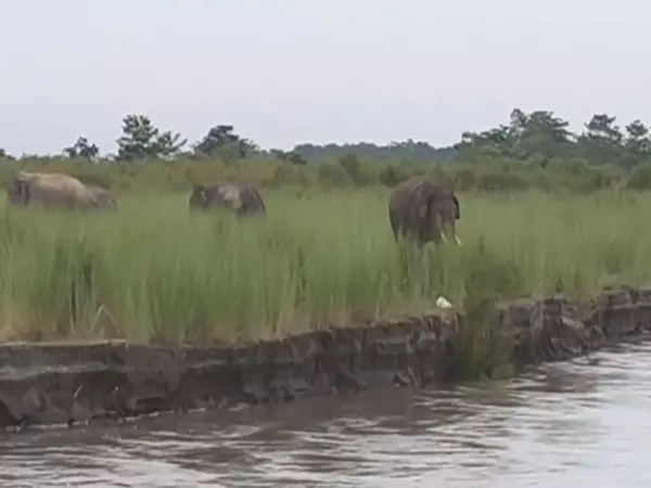 मानव-हाथी सह-अस्तित्व के आह्वान के साथ World Elephant Day मनाया गया मानव-हाथी सह-अस्तित्व के आह्वान के साथ World Elephant Day मनाया गया
