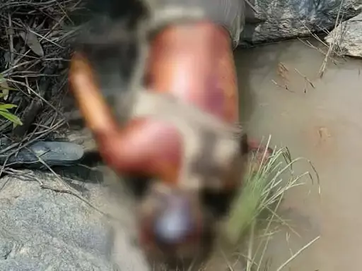 नाले में अज्ञात लाश मिली, बहकर आने की आशंका नाले में अज्ञात लाश मिली, बहकर आने की आशंका