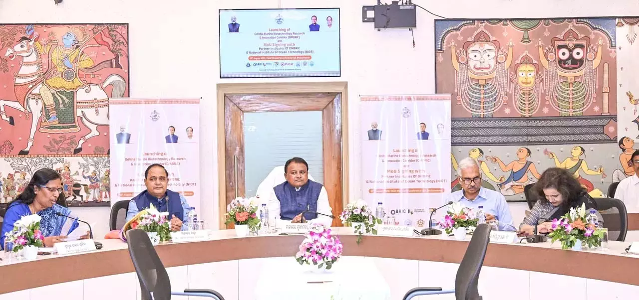 CM ने ओडिशा समुद्री जैव प्रौद्योगिकी अनुसंधान एवं नवाचार गलियारे का शुभारंभ किया CM ने ओडिशा समुद्री जैव प्रौद्योगिकी अनुसंधान एवं नवाचार गलियारे का शुभारंभ किया