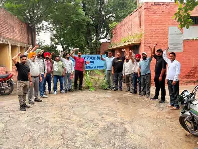 Jalandhar: बिजली क्षेत्र के कर्मचारियों ने विरोध प्रदर्शन, निजीकरण नीति वापस लेने की मांग की Jalandhar: बिजली क्षेत्र के कर्मचारियों ने विरोध प्रदर्शन, निजीकरण नीति वापस लेने की मांग की