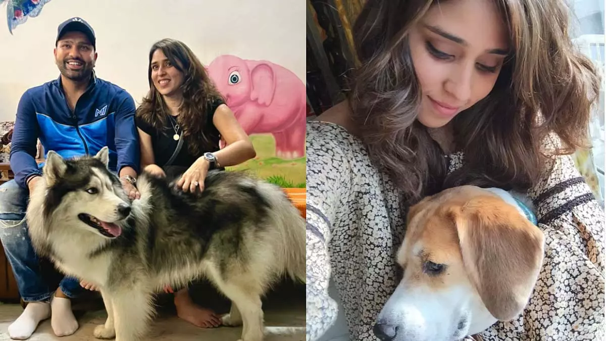 Ritika Sajdeh: सुप्रीम कोर्ट के आवारा कुत्तों के आदेश पर दी प्रतिक्रिया Ritika Sajdeh: सुप्रीम कोर्ट के आवारा कुत्तों के आदेश पर दी प्रतिक्रिया