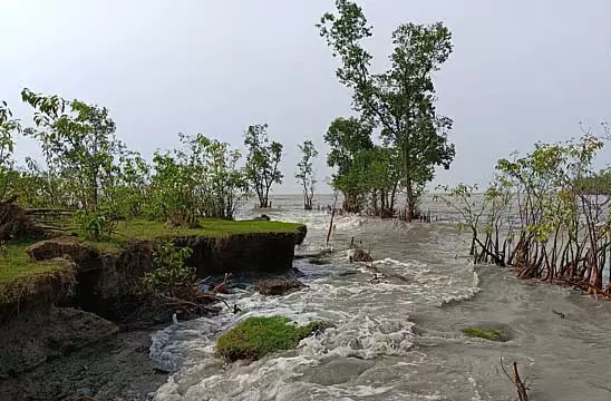 बारिश और भूस्खलन के कारण बांध टूट रहे बारिश और भूस्खलन के कारण बांध टूट रहे