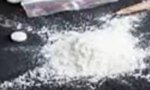 राजातालाब में ड्रग्स पैडलर गिरफ्तार, कुरियर के जरिए रायपुर शहर में हो रही सप्लाई राजातालाब में ड्रग्स पैडलर गिरफ्तार, कुरियर के जरिए रायपुर शहर में हो रही सप्लाई