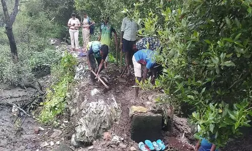 Mumbai : वन विभाग जल्द ही मैंग्रोव विनाश और वृक्षारोपण डेटा पर समर्पित वेबसाइट लॉन्च करेगा