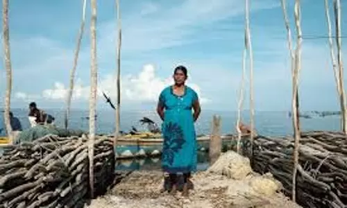 निर्यात पर नजर, केंद्र ने समुद्री खाद्य पदार्थों के मूल्य संवर्धन का संकल्प लिया निर्यात पर नजर, केंद्र ने समुद्री खाद्य पदार्थों के मूल्य संवर्धन का संकल्प लिया