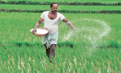 उर्वरक की कमी के डर से NTR और कृष्णा में घबराहट में खरीदारी