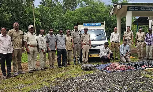 Honnavar: जंगली सूअर का मांस ले जाने के आरोप में दो गिरफ्तार