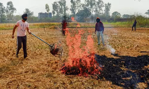 पराली जलाने पर रोक लगाने के लिए विभाग ने हरियाणा के 10 जिलों पर ध्यान केंद्रित किया