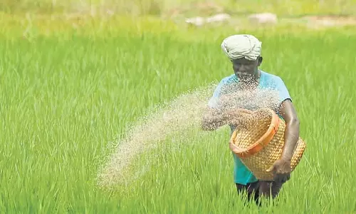 Odisha में पहली बार धान खरीद के नए नियम को लेकर पारिवारिक झड़प की खबर