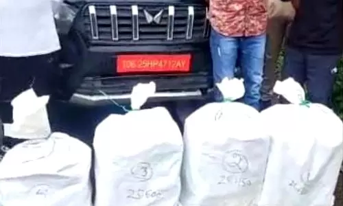 झज्जर में अंतरराज्यीय ड्रग तस्करी रैकेट का भंडाफोड़, 97 किलोग्राम गांजा जब्त