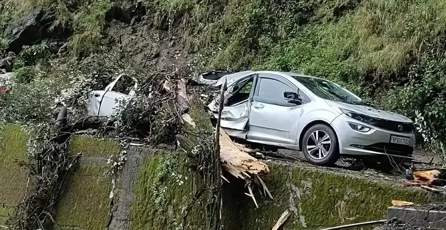 Shimla: पेड़ गिरने से अवरोध, कई सड़कों पर लगा जाम