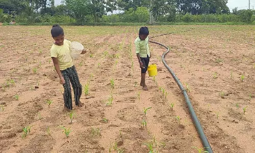 Gajendragarh : लगातार बारिश से फसलों को नुकसान