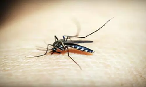 Odisha फिर मलेरिया के क्षेत्र में पहुंचा Odisha फिर मलेरिया के क्षेत्र में पहुंचा