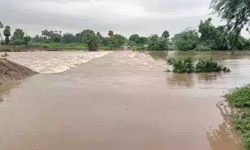 Warangal, हनमकोंडा, महबूबाबाद में भारी बारिश से सामान्य जनजीवन अस्त-व्यस्त