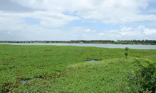 Davanagere : जलाशय पर्यटकों को आकर्षित कर रहे हैं