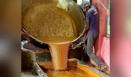 कडक्कड़ गन्ना बीज उत्पादन केंद्र में पंडालम गुड़ का उत्पादन जोरों पर कडक्कड़ गन्ना बीज उत्पादन केंद्र में पंडालम गुड़ का उत्पादन जोरों पर