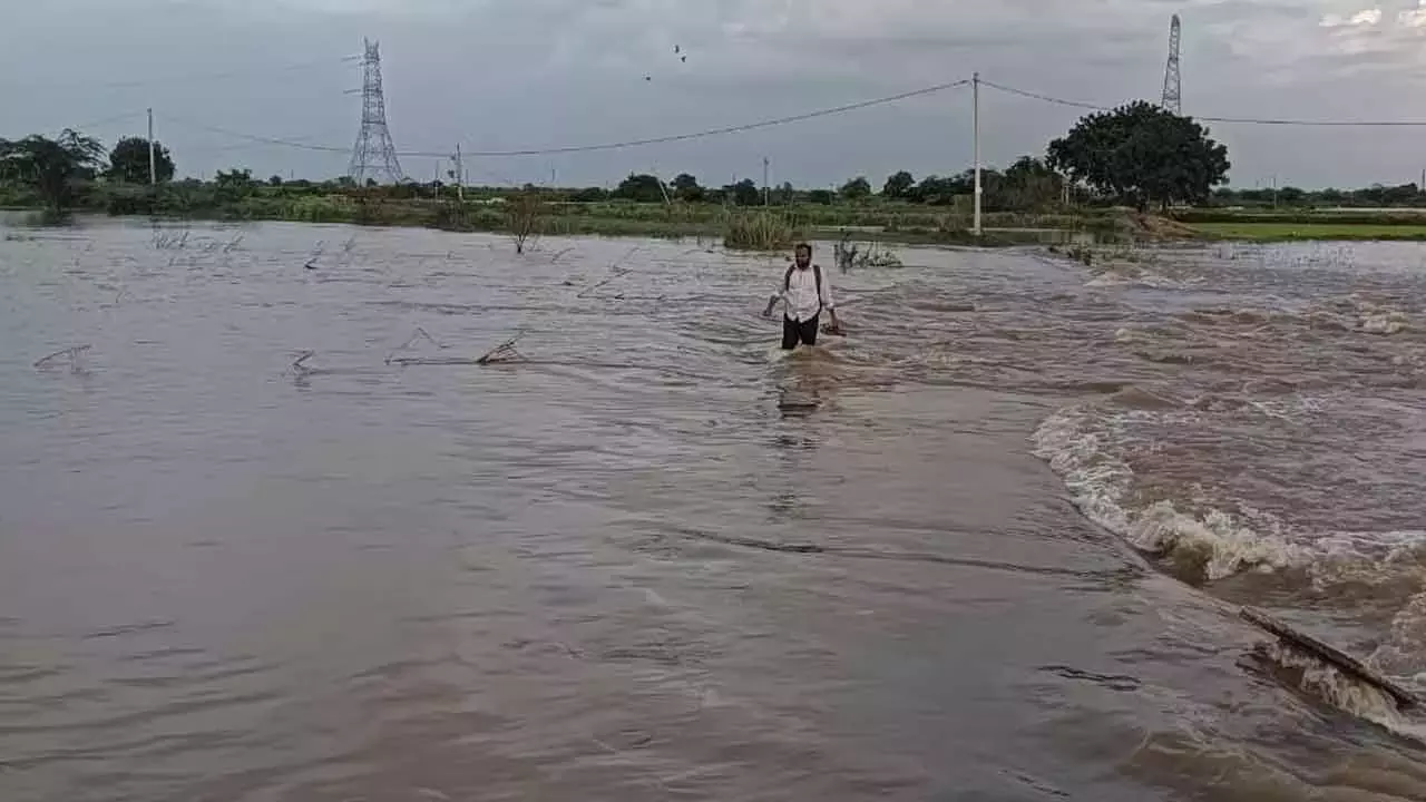 Andhra: बनगनपल्ले निर्वाचन क्षेत्र में भारी बारिश, निचले इलाके जलमग्न