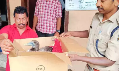 Kerala : जाल में फंसे प्रवासी पक्षी को बचाया गया