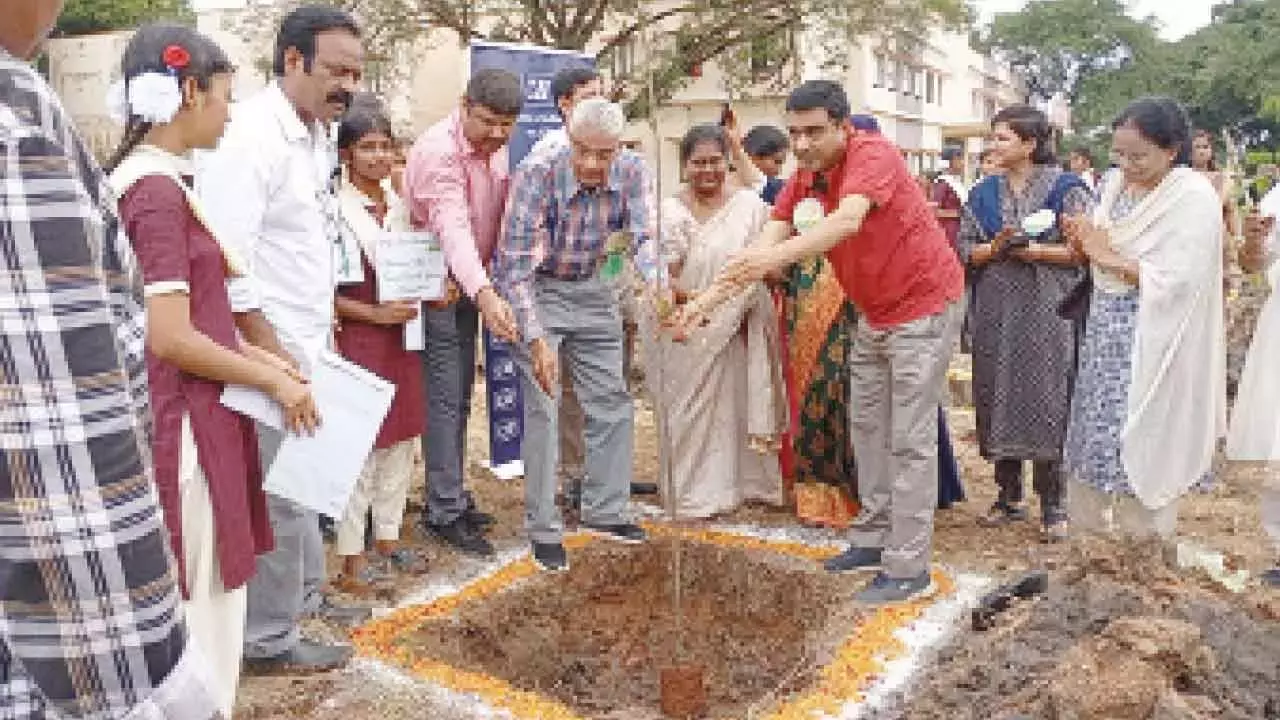 Telangana: वायरा निर्वाचन क्षेत्र में वृक्षारोपण अभियान Telangana: वायरा निर्वाचन क्षेत्र में वृक्षारोपण अभियान