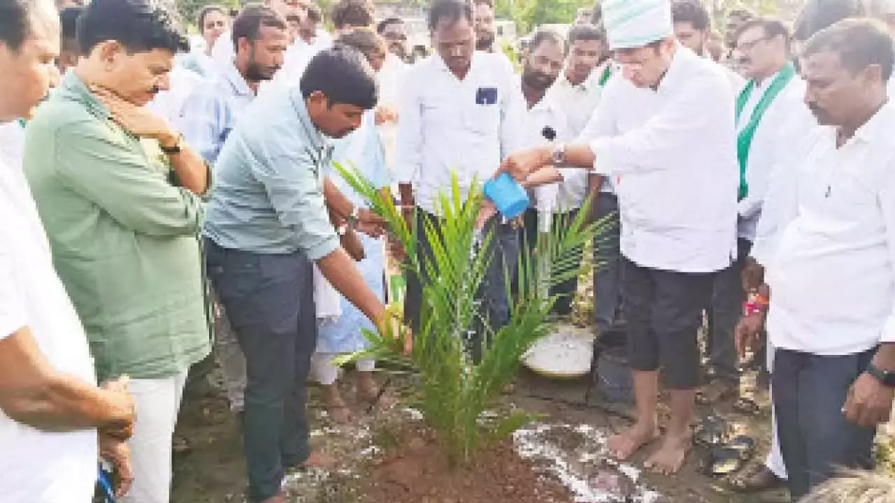 Telangana: श्रीधर बाबू ने पाम ऑयल की खेती पर जोर दिया