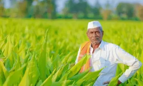 Gondia जिले के 8,460 किसानों का बोनस अटका