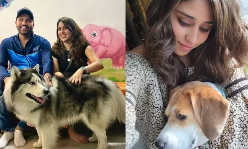 Ritika Sajdeh: सुप्रीम कोर्ट के आवारा कुत्तों के आदेश पर दी प्रतिक्रिया