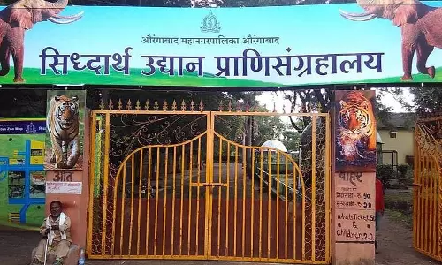 Sambhajinagar : चिड़ियाघर में नई वाइल्डलाइफ एक्सचेंज डील