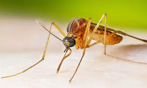 Dindori: जापानी इंसेफेलाइटिस वायरस से 6 साल के बच्चे की मौत Dindori: जापानी इंसेफेलाइटिस वायरस से 6 साल के बच्चे की मौत