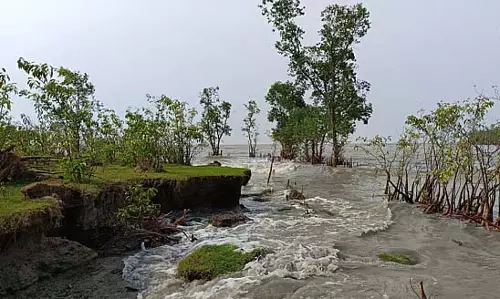बारिश और भूस्खलन के कारण बांध टूट रहे