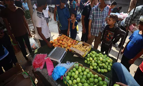 इज़रायली जांच में Gaza में भुखमरी की खबरों पर सवाल