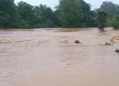 बाढ़ में बहे युवक ने पेड़ का लिया सहारा, सूझबूझ से बची जान बाढ़ में बहे युवक ने पेड़ का लिया सहारा, सूझबूझ से बची जान