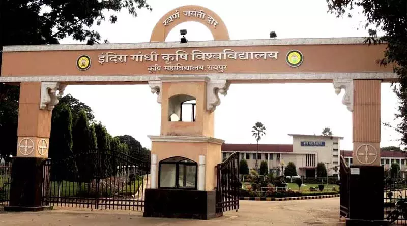 कृषि विश्वविद्यालय जोरा में 3 करोड़ 50 लाख की हेराफेरी कृषि विश्वविद्यालय जोरा में 3 करोड़ 50 लाख की हेराफेरी