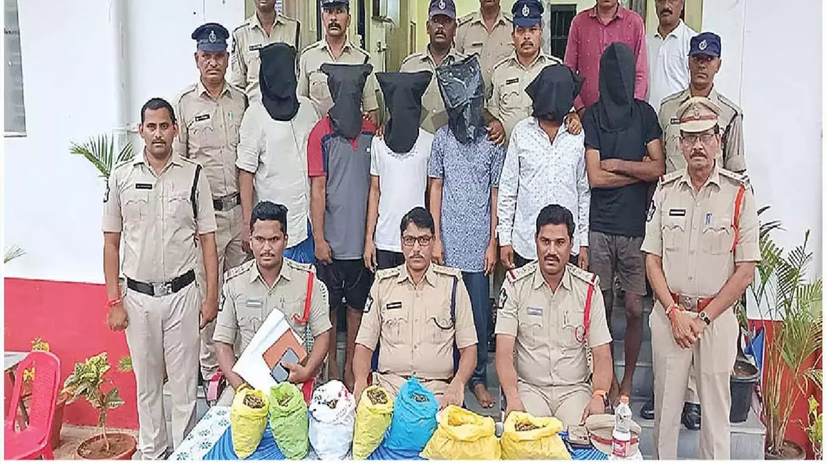ganja तस्करी गिरोह के छह सदस्य गिरफ्तार ganja तस्करी गिरोह के छह सदस्य गिरफ्तार