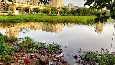 Maharashtra: मुंबई की पवई झील की सफाई के लिए अभियान शुरू किया Maharashtra: मुंबई की पवई झील की सफाई के लिए अभियान शुरू किया