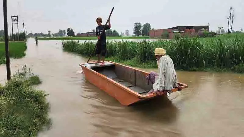 एक महीना बीत जाने के बाद भी Muktsar village के खेत अभी भी जलमग्न एक महीना बीत जाने के बाद भी Muktsar village के खेत अभी भी जलमग्न