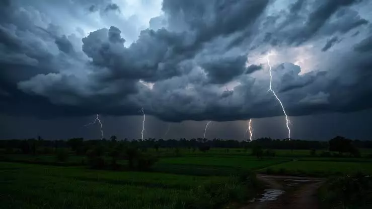 Kerala: गरज-चमक के साथ बारिश की चेतावनी, दो जिलों में सतर्कता जरूरी Kerala: गरज-चमक के साथ बारिश की चेतावनी, दो जिलों में सतर्कता जरूरी