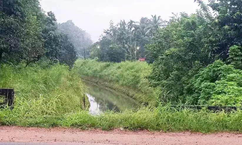 Kerala : क्षतिग्रस्त रेलिंग का पुनर्निर्माण नहीं हो रहा, राष्ट्रीय राजमार्ग पर खतरा Kerala : क्षतिग्रस्त रेलिंग का पुनर्निर्माण नहीं हो रहा, राष्ट्रीय राजमार्ग पर खतरा