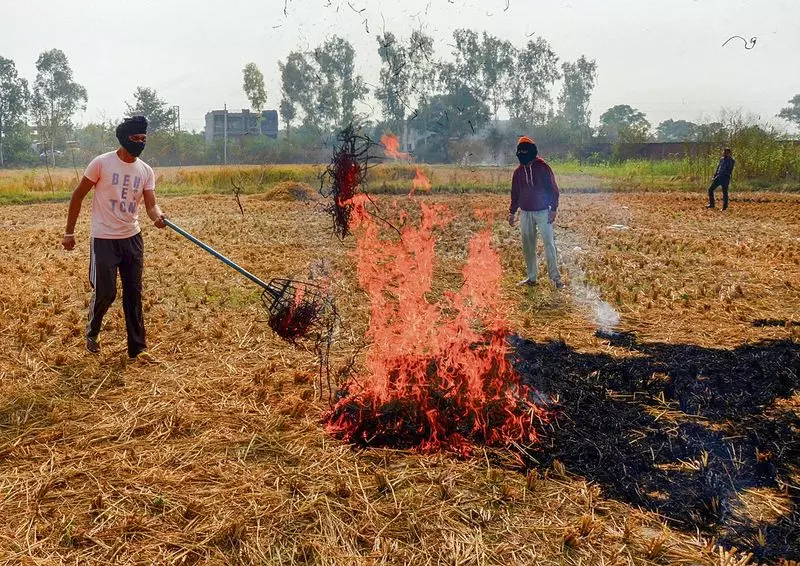पराली जलाने पर रोक लगाने के लिए विभाग ने Haryana के 10 जिलों पर ध्यान केंद्रित किया पराली जलाने पर रोक लगाने के लिए विभाग ने Haryana के 10 जिलों पर ध्यान केंद्रित किया