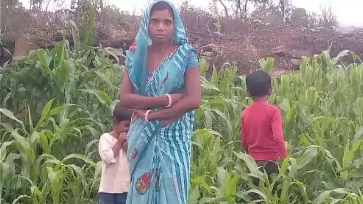 Shivpuri: सोते समय सांप के काटने से महिला और उसके दो बेटों की मौत Shivpuri: सोते समय सांप के काटने से महिला और उसके दो बेटों की मौत